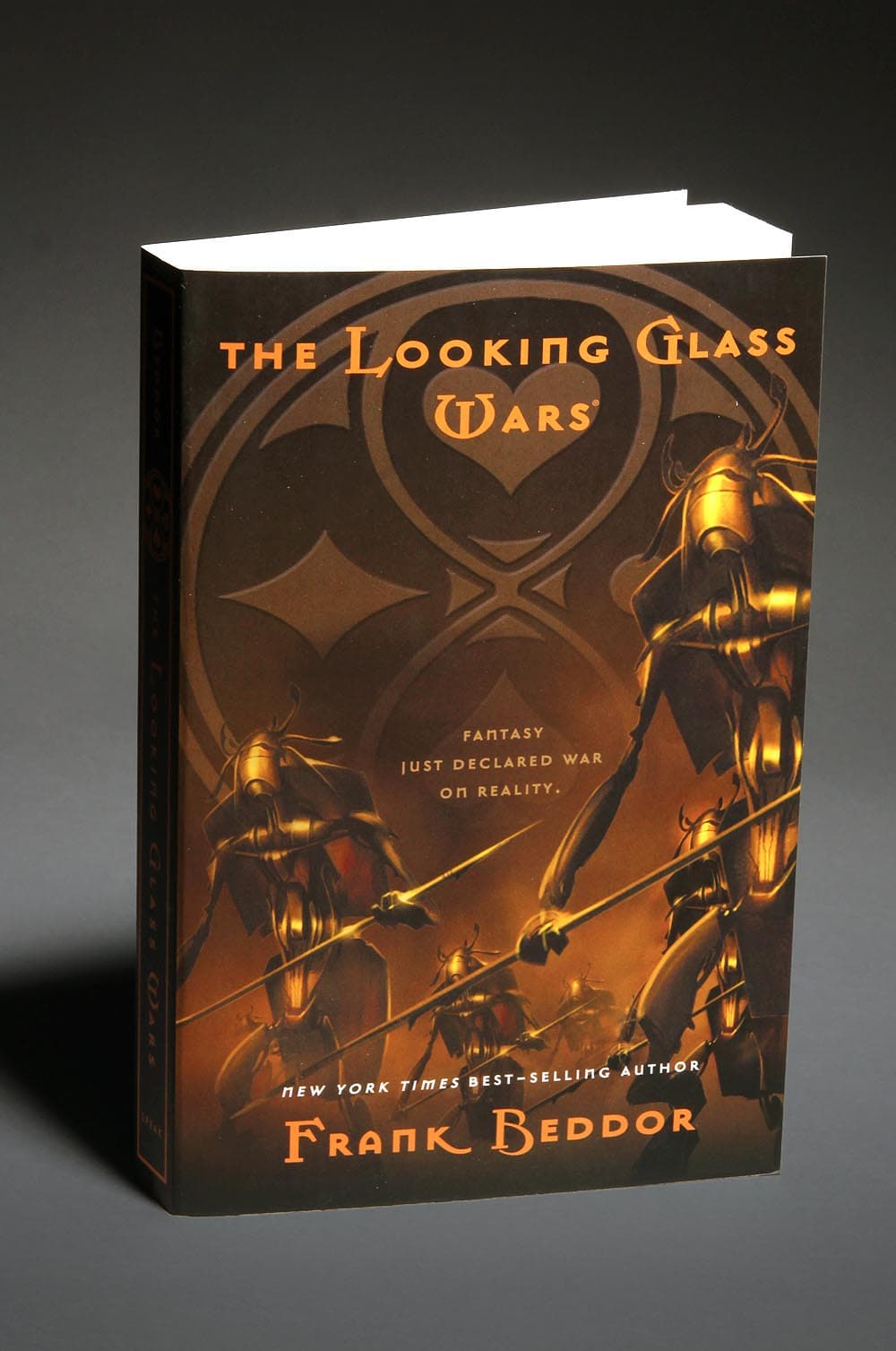 The paperback standing upright, photographed at an angle against a grey backdrop.