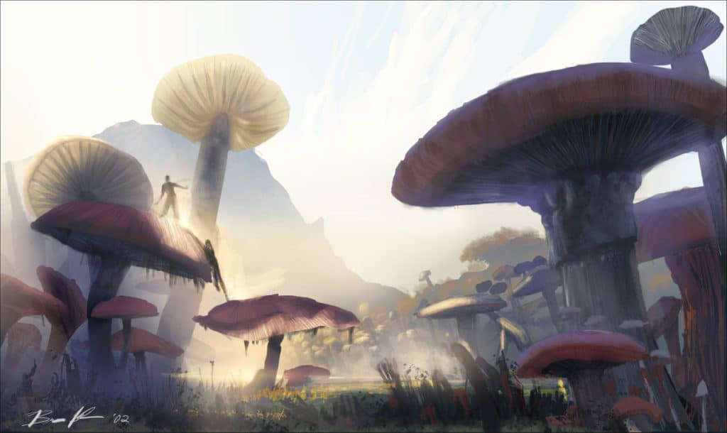 Valley Of Mushrooms