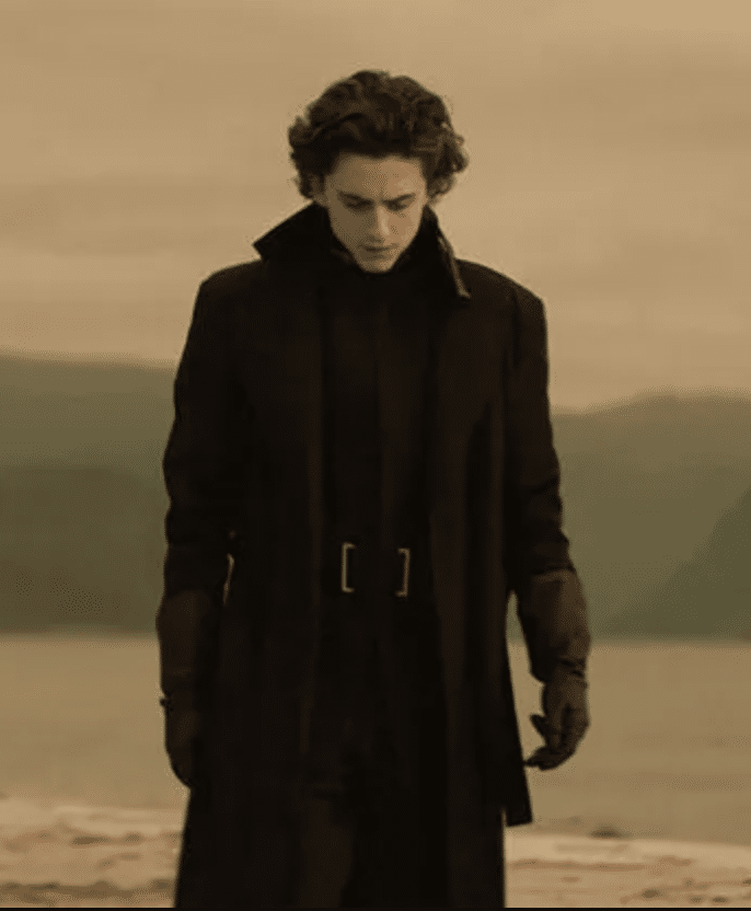 Promotional image of Timothee Chalamet as Paul Atreides, wearing a black clothes and standing in a desert, from the 2021 Denis Villeneuve film "Dune".