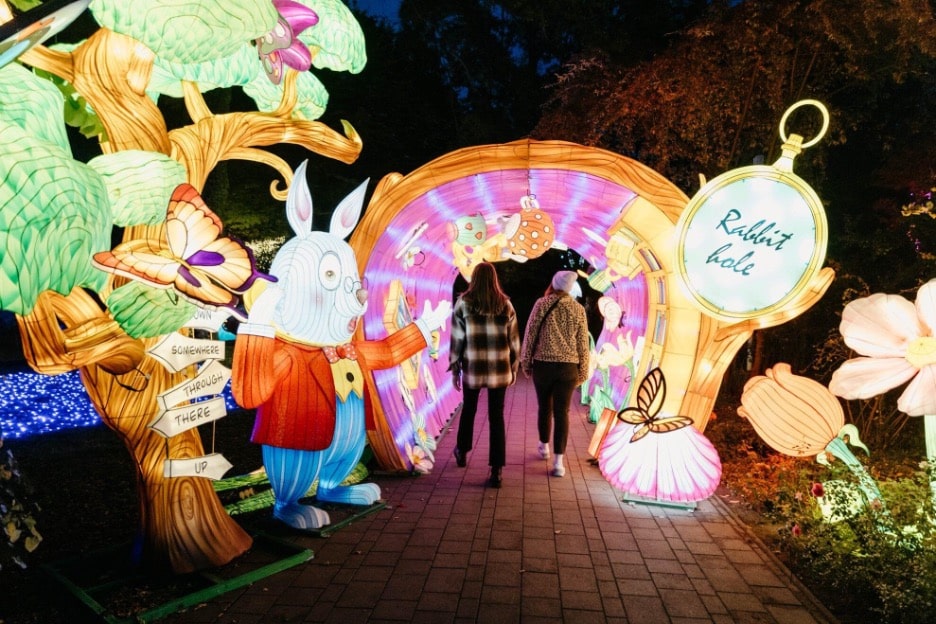 An LED lighting exhibit featuring the White Rabbit, a tree, flowers, and a multi-colored tunnel from the Garden of Lights - Alice in Wonderland at the Botanical Garden of Bucharest. 