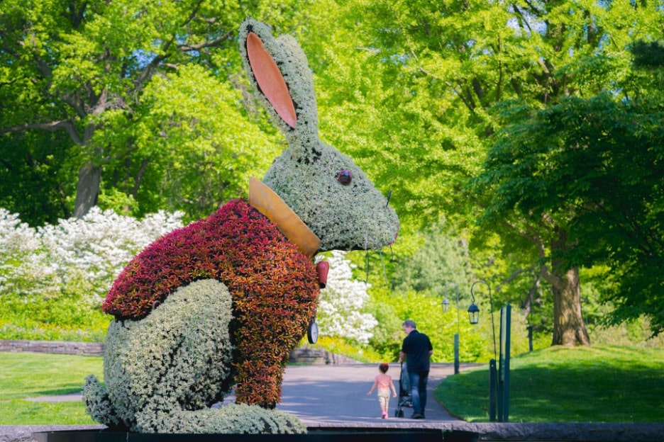 A large topiary White Rabbit in the middle of a park from the Wonderland: Curious Nature installation at the New York Botanical Garden. 