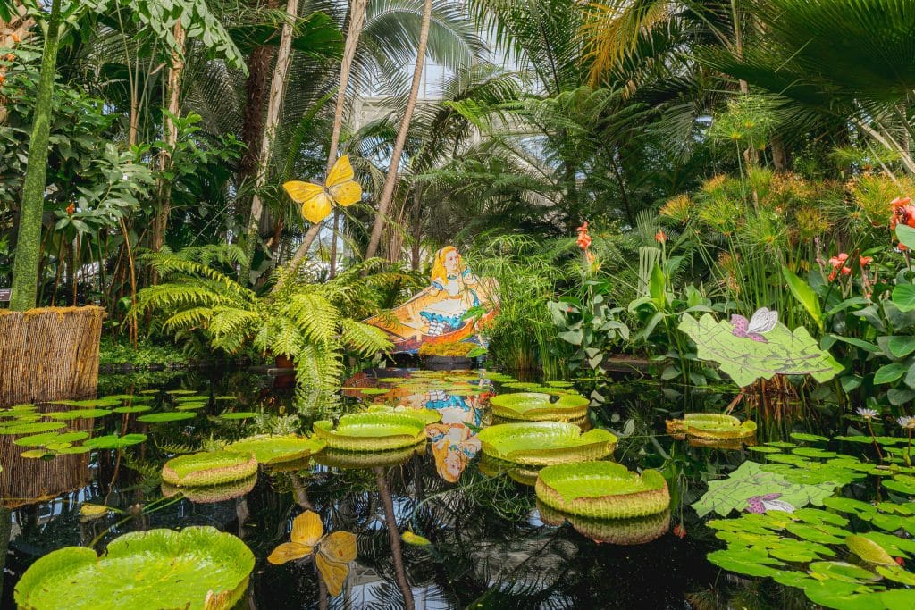 A photograph of a pool filled with water lilies featuring a cutout image of Alice Liddell in a rowboat as part of the "Wonderland: Curious Nature" exhibition at the New York Botanical Garden. 