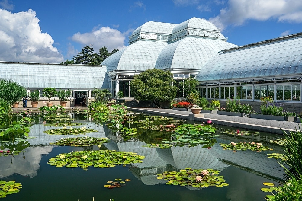 A photograph of a pool featuring water lilies in the foreground and the Victorian-era New York Botanical Garden conservatory in the background. 