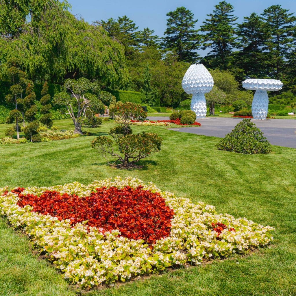 A photograph of a bed of white and red flowers arranged to create a red heart, on the lawn as part of the "Wonderland: Curious Nature" exhibition at the New York Botanical Garden.