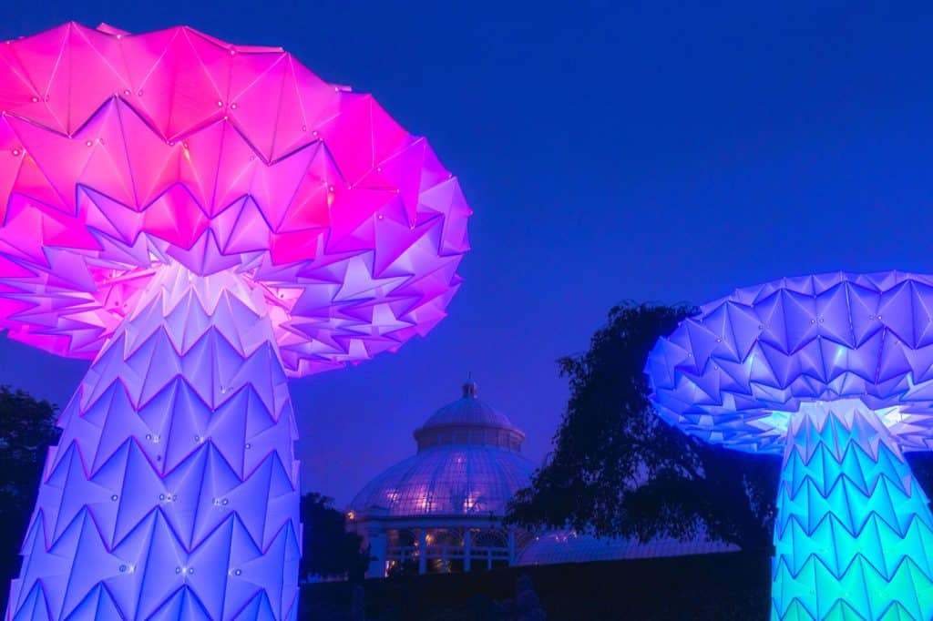 A photograph of two of the Shrumen Lumen lighted origami mushroom structures by FoldHaus as part of the "Wonderland: Curious Nature" exhibition at the New York Botanical Garden. 