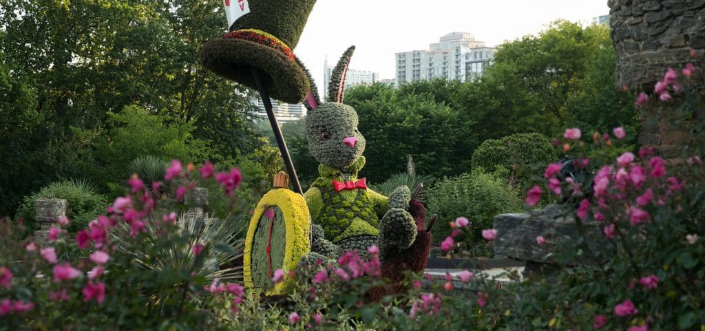 A topiary sculpture depicting the White Rabbit sitting in an umbrella from "Alice in Wonderland" in the Atlanta Botanical Garden.