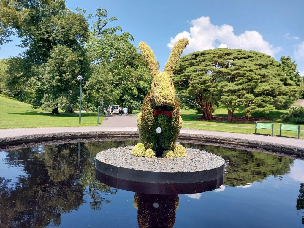 A photograph taken by Lynne Henderson of a White Rabbit topiary sculpture at the New York Botanical Garden's "Wonderland: Curious Nature" exhibit. 